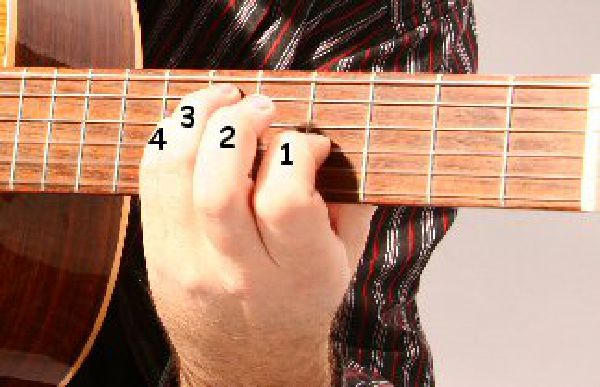 Avoir Moins Mal Aux Doigts Guitare Description de la guitare